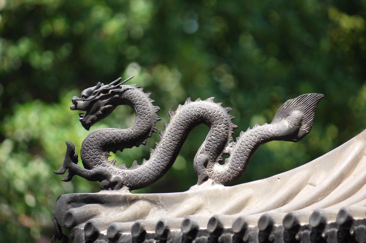 The Year of the Wood Dragon
