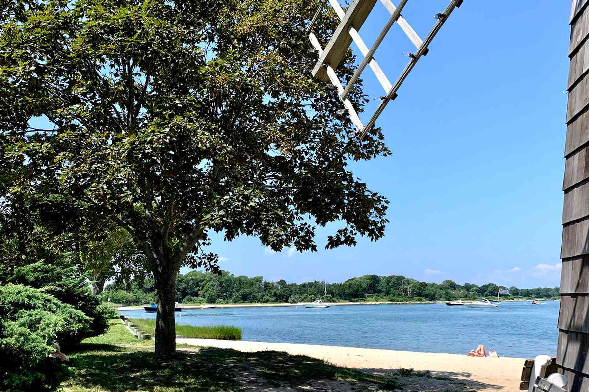 6 Simple Ways to Protect Our Beaches & Bays