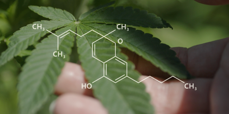 What is Cannabichromene? The Clinical Guide to CBC