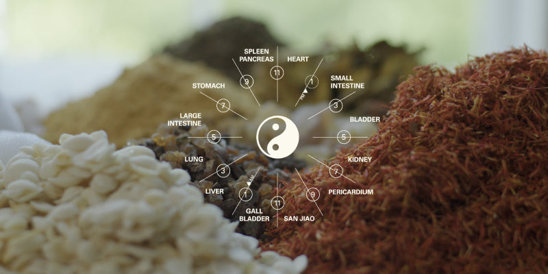 Chinese Body Clock and Chinese Herbs