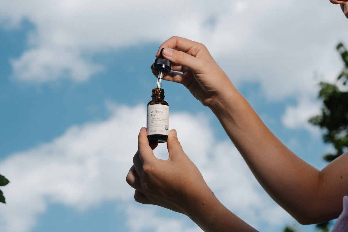 Dragon Hemp Wellness Tincture 90-day CBD protocol ECS recalibration