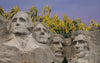 Mount Rushmore: The Founding Fathers of Hemp
