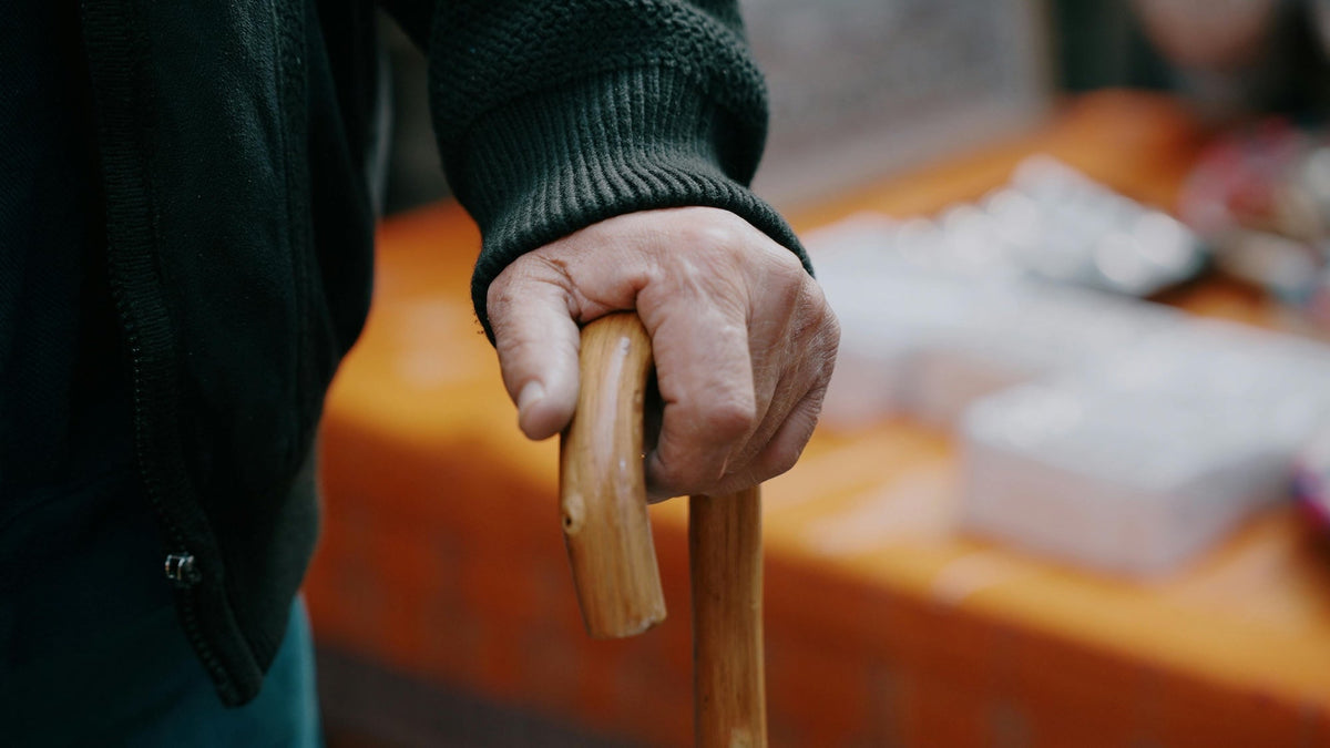 The four Bi syndromes — Wind, Cold, Damp, Heat — and the herbs that clear each pattern